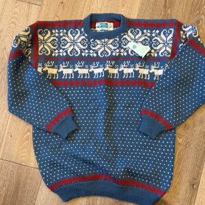 Festive Blue and Red Reindeer Sweater
